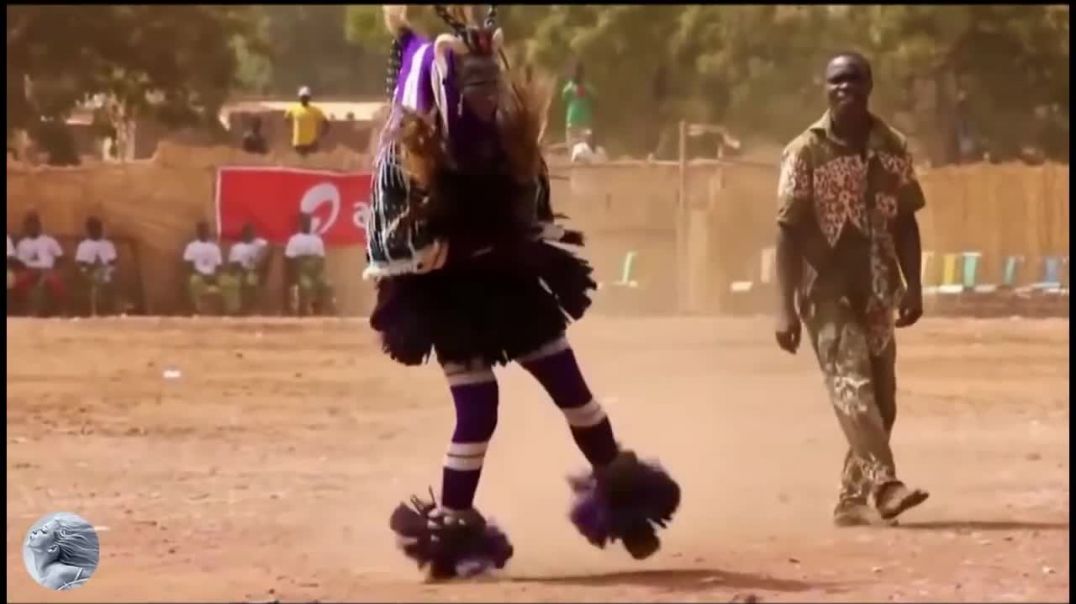 ЧУБЧИК КУЧЕРЯВЫЙ