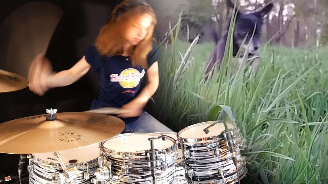 Sina's Kangaroo Dog!