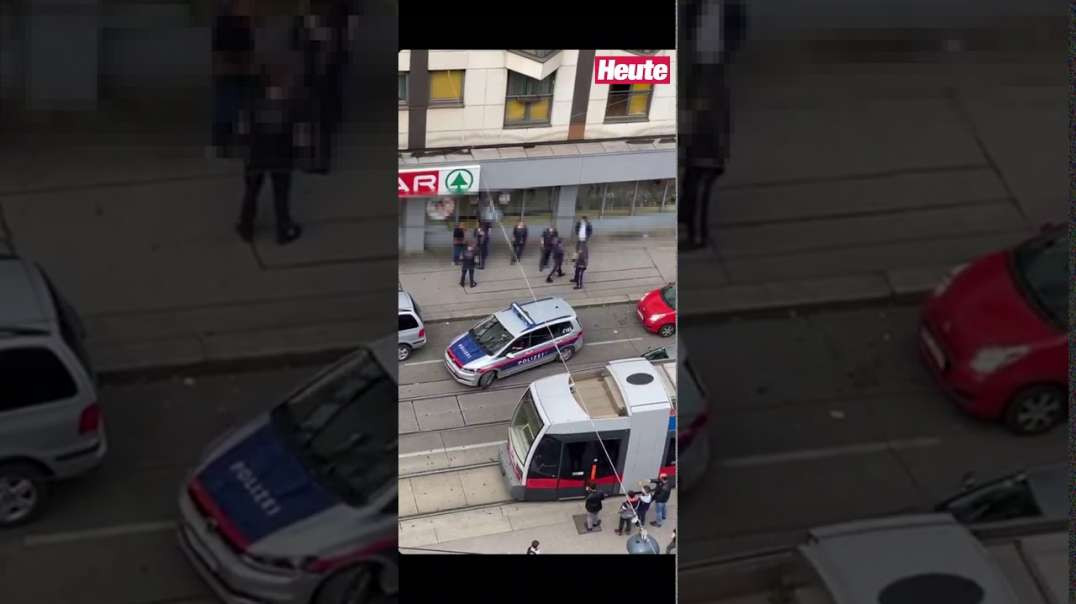 Video von parkender Wiener Polizistin