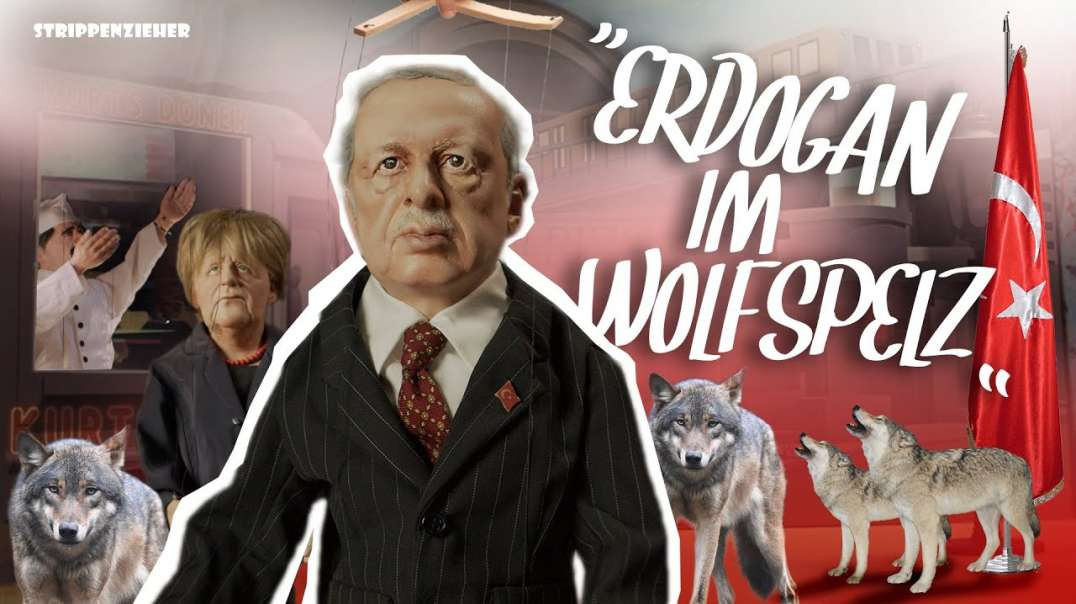 Erdoğan | Ein türkisches Schaf im grauen Wolfspelz? | Strippenzieher