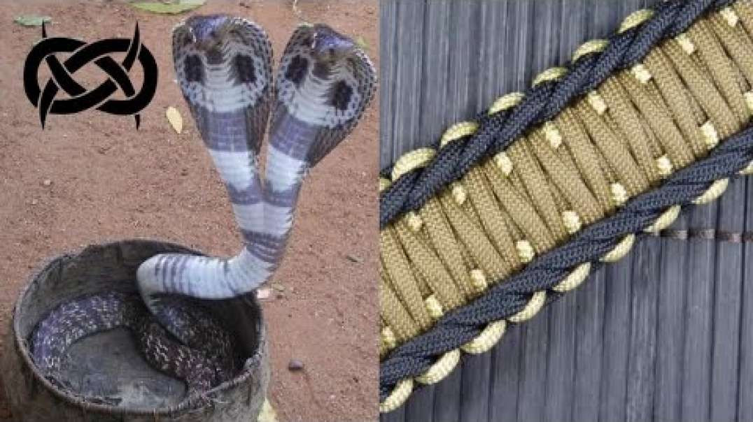 How to make a Rigid King Cobra Paracord Buckle Bracelet