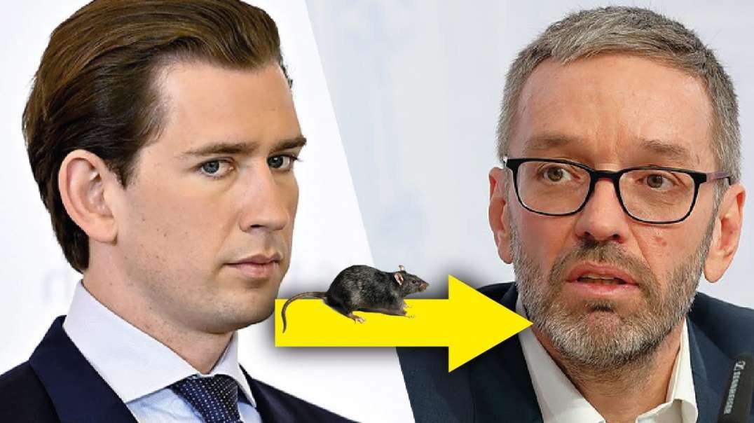 Die Ratten verlassen das sinkende Corona-Schiff!