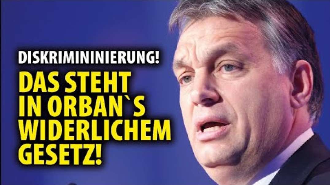 Viktor Orbán: Das steht in seinem widerlichen Diskriminierungsgesetz!