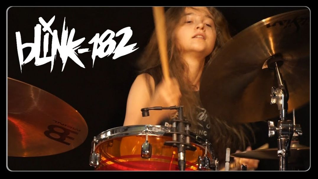 All The Small Things (blink-182); Drum cover by Sina