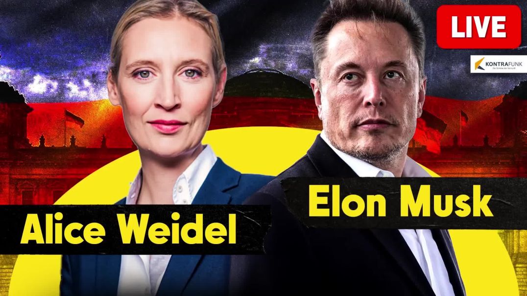 Alice Weidel - Elon Musk - deutsche Übersetzung