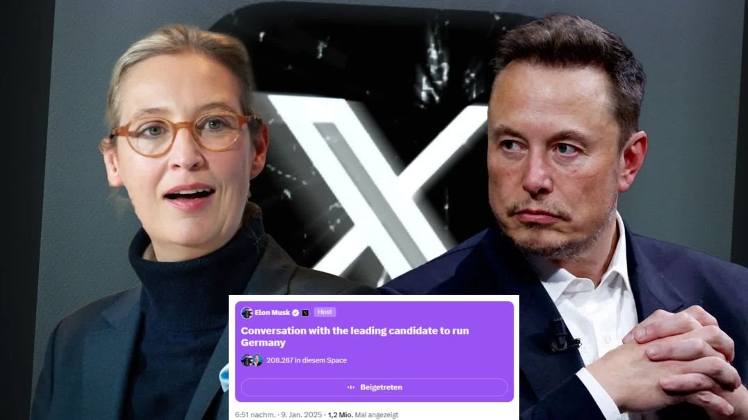 Alice Weidel - Elon Musk - Originalton