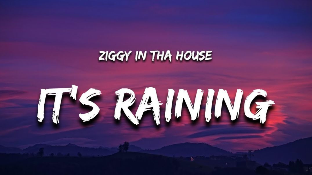 Ziggy in the House - It's Raining