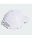 BIG TONAL LOGO BASEBALL CAP