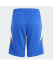 PITCH 2 STREET MESSI SPORTSWEAR SHORTS