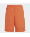 ADVENTURE SHORTS