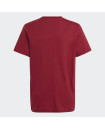 COLLEGIATE GRAPHIC PACK BOYFRIEND TEE