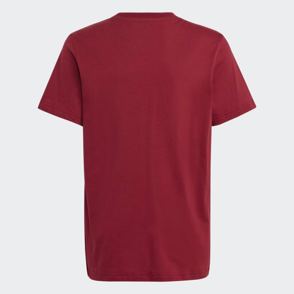 COLLEGIATE GRAPHIC PACK BOYFRIEND TEE