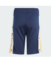 ADIBREAK SHORTS