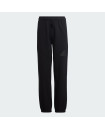 FUTURE ICONS LOGO PANTS