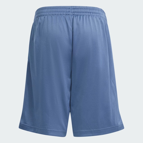 BRAND LOVE MESH SHORTS