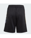 TIRO SUMMER SHORTS