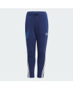 X STAR WARS YOUNG JEDI PANTS