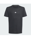 TRAINING AEROREADY TEE