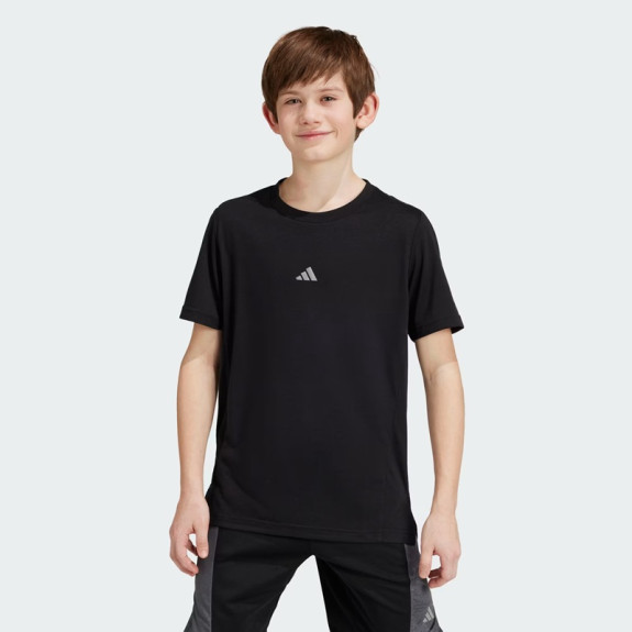 TRAINING AEROREADY TEE