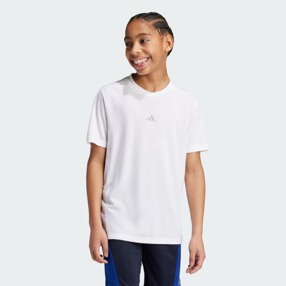 TRAINING AEROREADY TEE