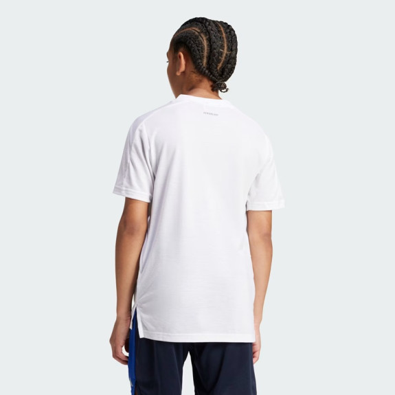 TRAINING AEROREADY TEE