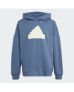 FUTURE ICONS LOGO HOODIE