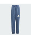 FUTURE ICONS LOGO PANTS