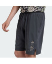 DISNEY LION KING SHORTS