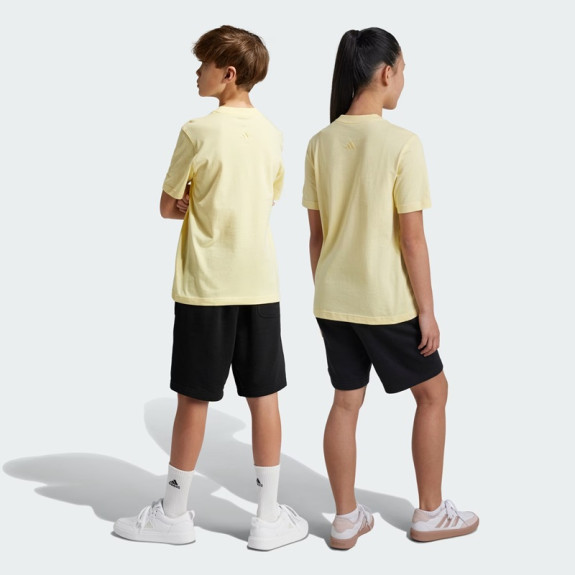 ALL SZN SHORTS