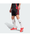 TIRO 24 TRAINING SHORTS