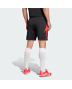 TIRO 24 TRAINING SHORTS