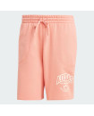 VRCT SHORTS