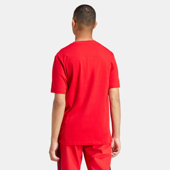 GRAPHIC SHORT SLEEVE TEE