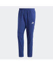 OWN THE RUN PANTS