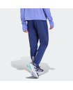 OWN THE RUN PANTS