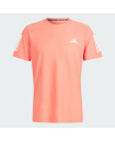 OWN THE RUN TEE