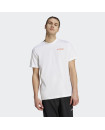 TERREX GRAPHIC ALTITUDE TEE