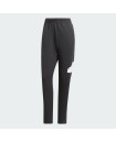 FUTURE ICONS BADGE OF SPORT PANTS
