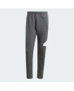 FUTURE ICONS BADGE OF SPORT PANTS
