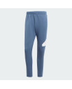 FUTURE ICONS BADGE OF SPORT PANTS