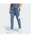 FUTURE ICONS BADGE OF SPORT PANTS