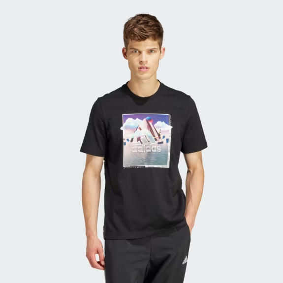 LANDSCAPE BADGE GRAPHIC TEE
