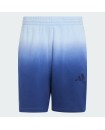 ALL SZN DIP-DYE SHORTS