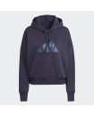 FUTURE ICONS FEEL FIERCE GRAPHIC HOODIE