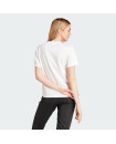 MODERN ESSENTIALS GRAPHIC TEE