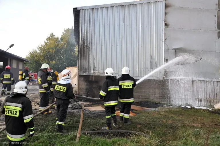 Pożar fabryki brykietu (zdjęcia)