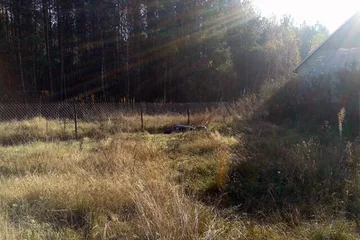 Następne zdjęcie