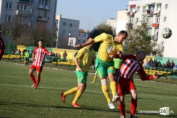 Następne zdjęcie