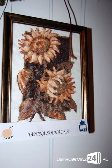 Następne zdjęcie