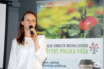 Poprzednie zdjęcie